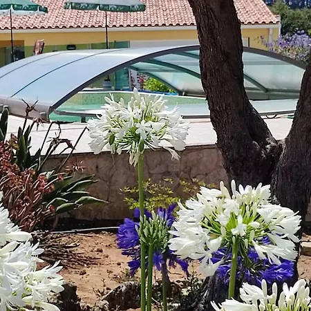 Διαμέρισμα Kyrios Arts Atelier With Use Of Private Swimming Pool Carrascal (Leiria)