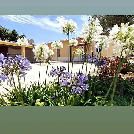 Kyrios Arts Atelier With Use Of Private Swimming Pool *