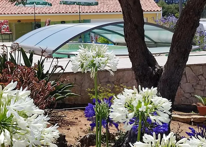 Apartman Kyrios Arts Atelier With Use Of Private Swimming Pool Carrascal (Leiria)