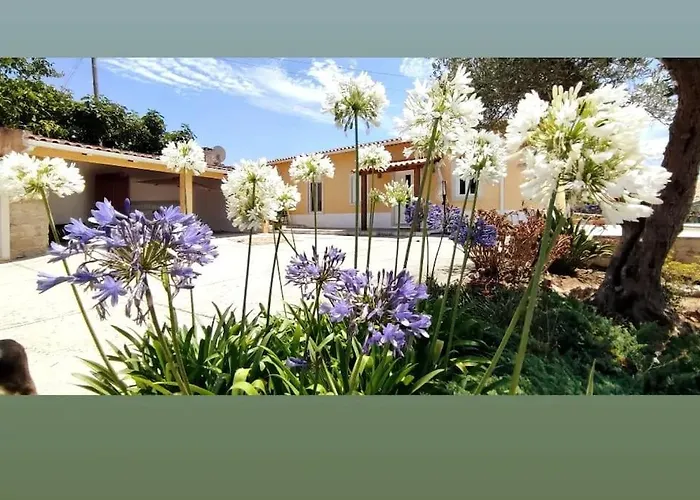 Kyrios Arts Atelier With Use Of Private Swimming Pool *